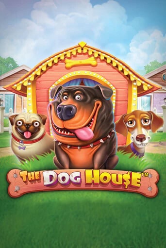 TheDogHouse